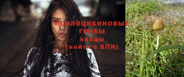 гашишное масло Богданович