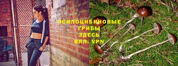 каннабис Богородицк