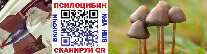 Галлюциногенные грибы Psilocybine cubensis купить наркоту Златоуст